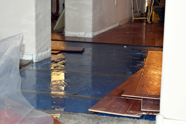 Professional Flood Damage Repair technician working in Chandlersville, OH